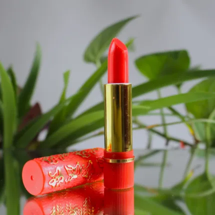 Rouges à Lèvres Magiques Marocains - Couleur Personnalisée et Hydratation 24H Morrokech rouge