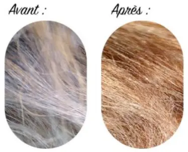 Renforcement de fibre capillaire